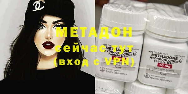 индика Алзамай