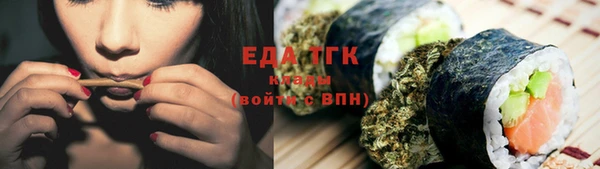индика Алзамай