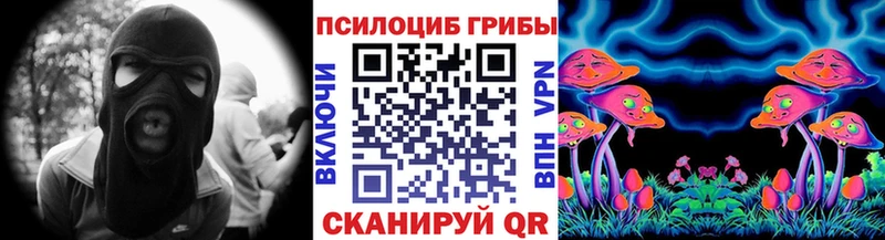 наркота  MEGA   Псилоцибиновые грибы Psilocybine cubensis  Зуевка 